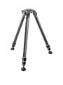 Tripod Systematic, series 3, 3 sections Gitzo - 
Lightweight, standard height, 3-section carbon fiber tripod
Ideal for professio