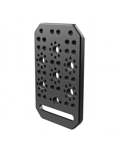 8Sinn Cheese Plate 8Sinn - - 24 x 1/4“ mounting points- 7 x 3/8“ mounting points with Arri locating points- Aluminum made 5