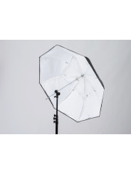 8:1 Umbrella Lastolite by Manfrotto - 
umbrella and softbox functionality
Includes carry pouch
Fiberglass frame
 1