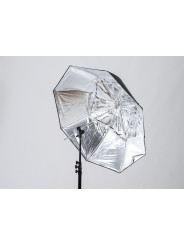 8:1 Umbrella Lastolite by Manfrotto - 
umbrella and softbox functionality
Includes carry pouch
Fiberglass frame
 2