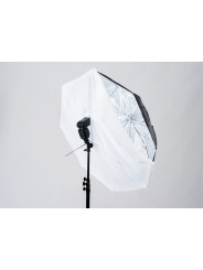 8:1 Umbrella Lastolite by Manfrotto - 
umbrella and softbox functionality
Includes carry pouch
Fiberglass frame
 5