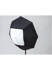 8:1 Umbrella Lastolite by Manfrotto - 
umbrella and softbox functionality
Includes carry pouch
Fiberglass frame
 6